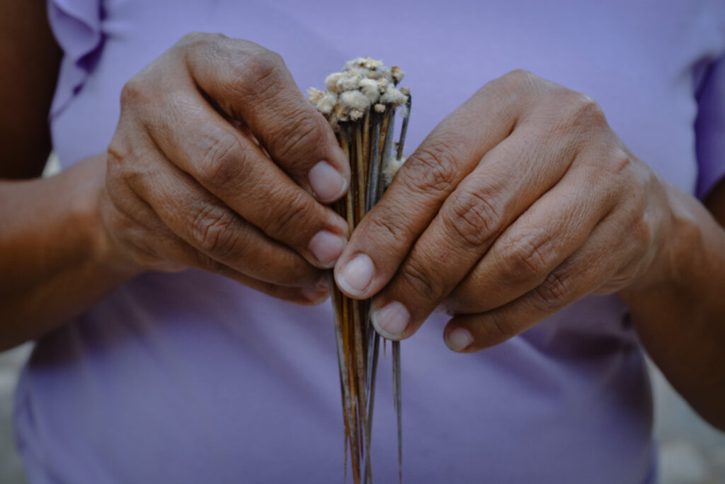 Associação de Artesãos e Rendeiras de Santana – AARESC