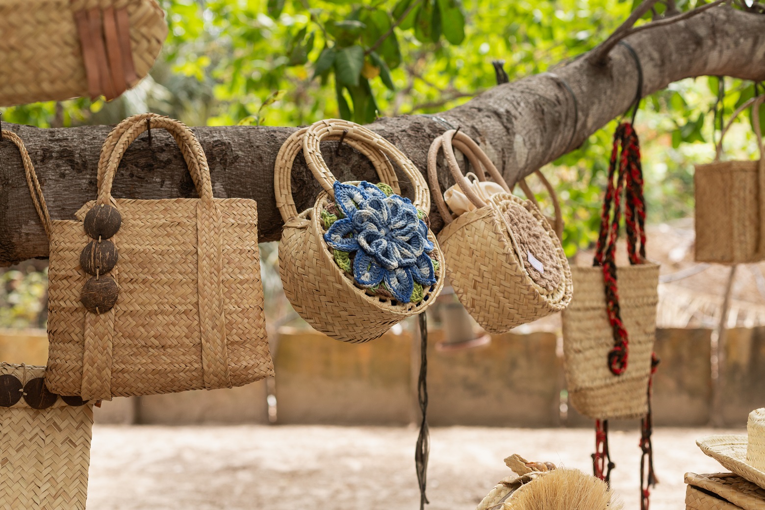 Associação de Artesãs Carnaubeiras do Estado do Piauí (AMACEP)