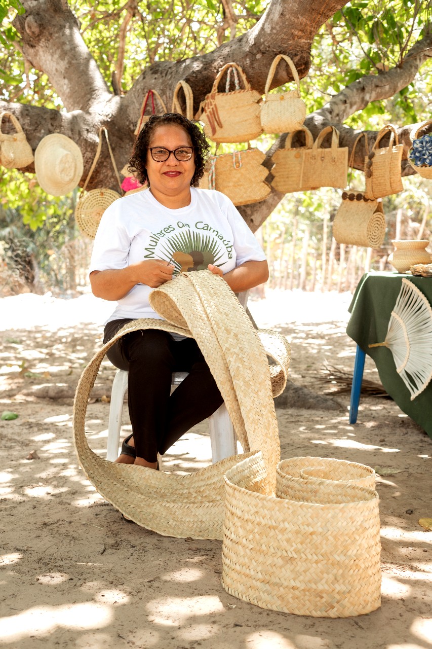 Associação de Artesãs Carnaubeiras do Estado do Piauí (AMACEP)