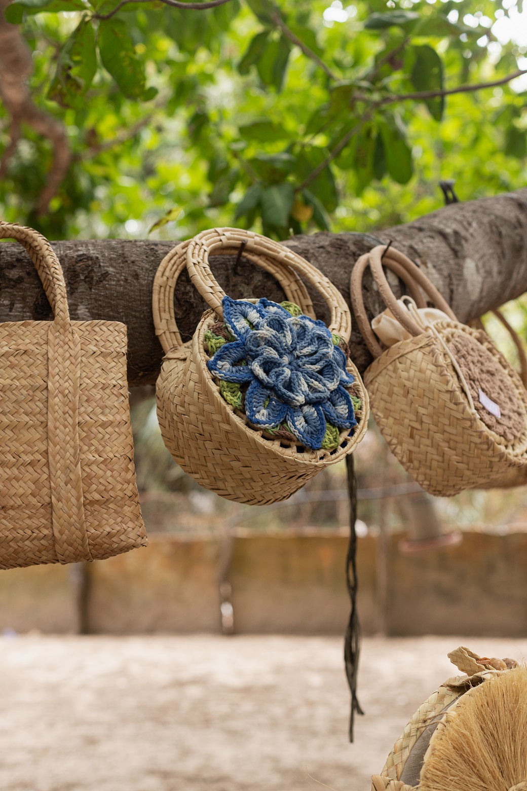 Associação de Artesãs Carnaubeiras do Estado do Piauí (AMACEP)