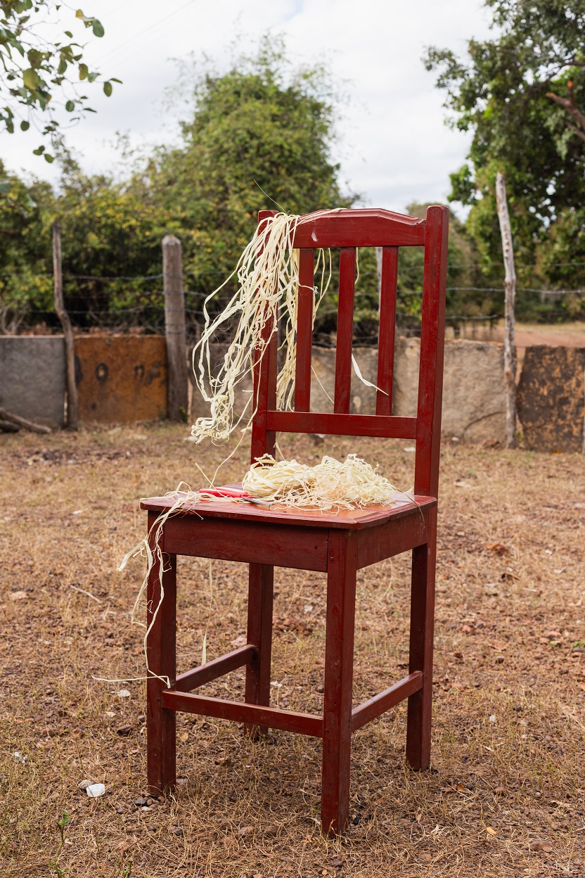 Associação de Artesãs Carnaubeiras do Estado do Piauí (AMACEP)