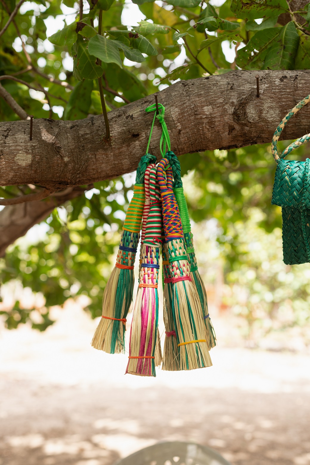 Associação de Artesãs Carnaubeiras do Estado do Piauí (AMACEP)
