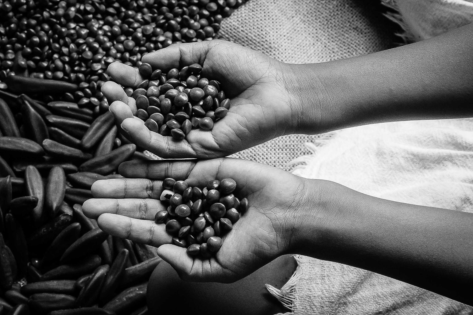 Associação das Mulheres Indígenas do Alto Rio Negro – AMARN