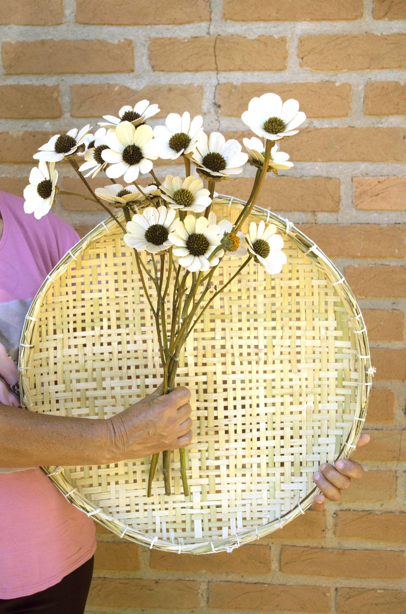 Arte no Quilombo – Associação dos Moradores e Artesãos do Bairro do Quilombo 