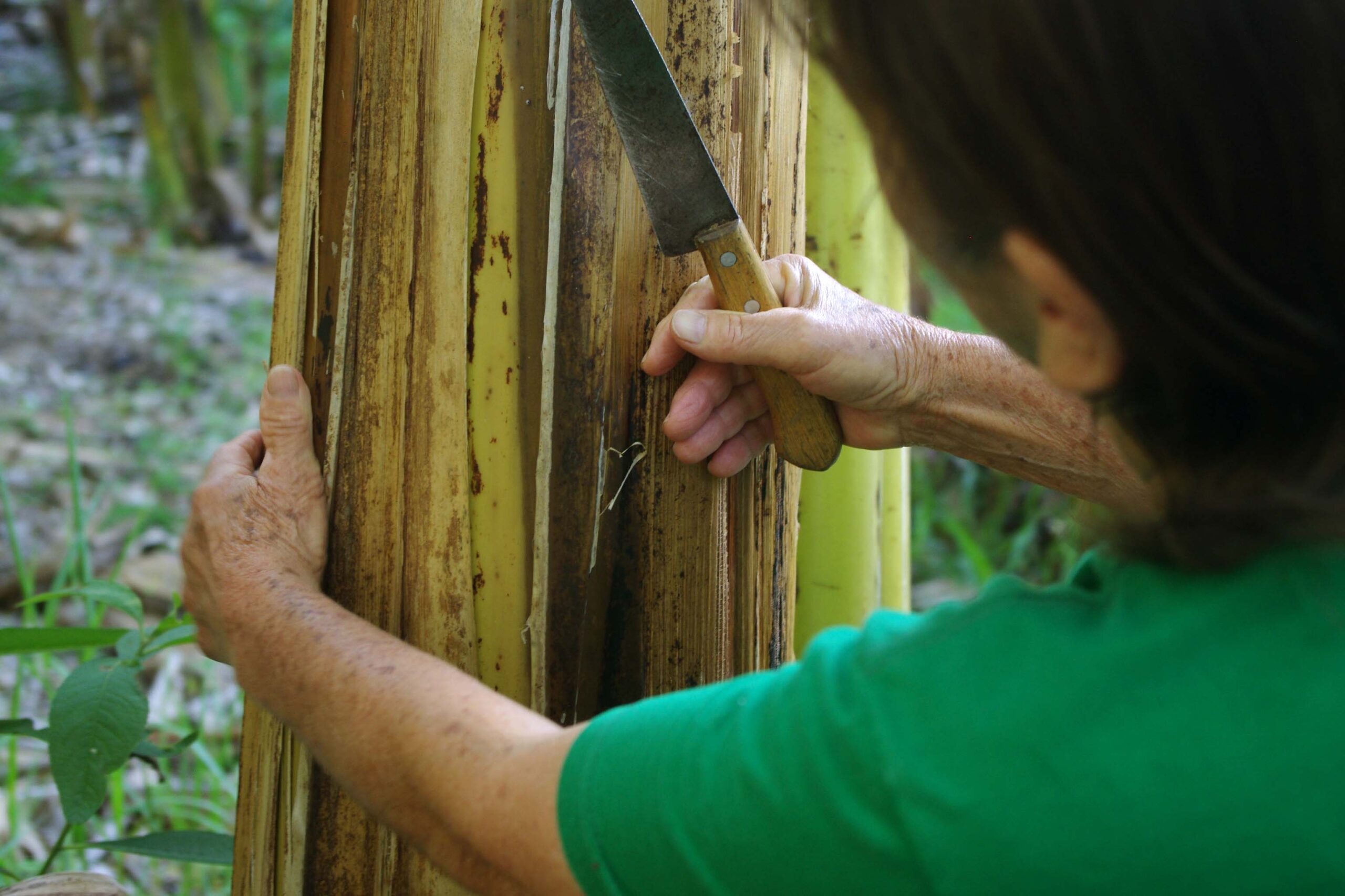 Arte no Quilombo – Associação dos Moradores e Artesãos do Bairro do Quilombo 