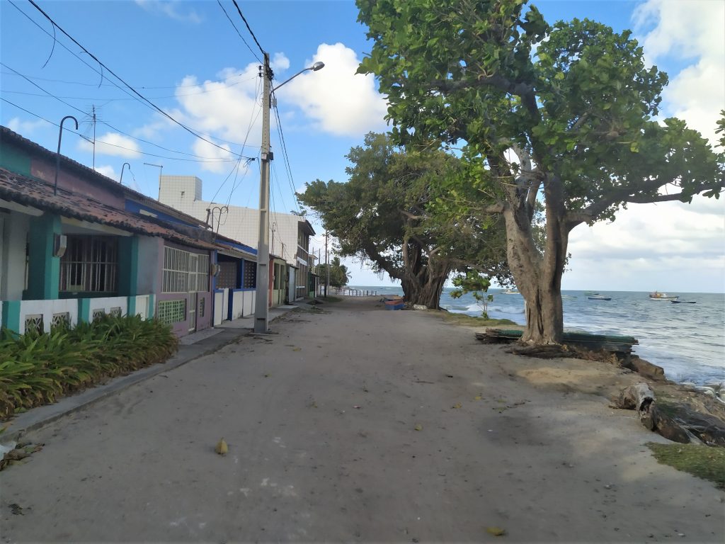 Artesanato Cana Brava