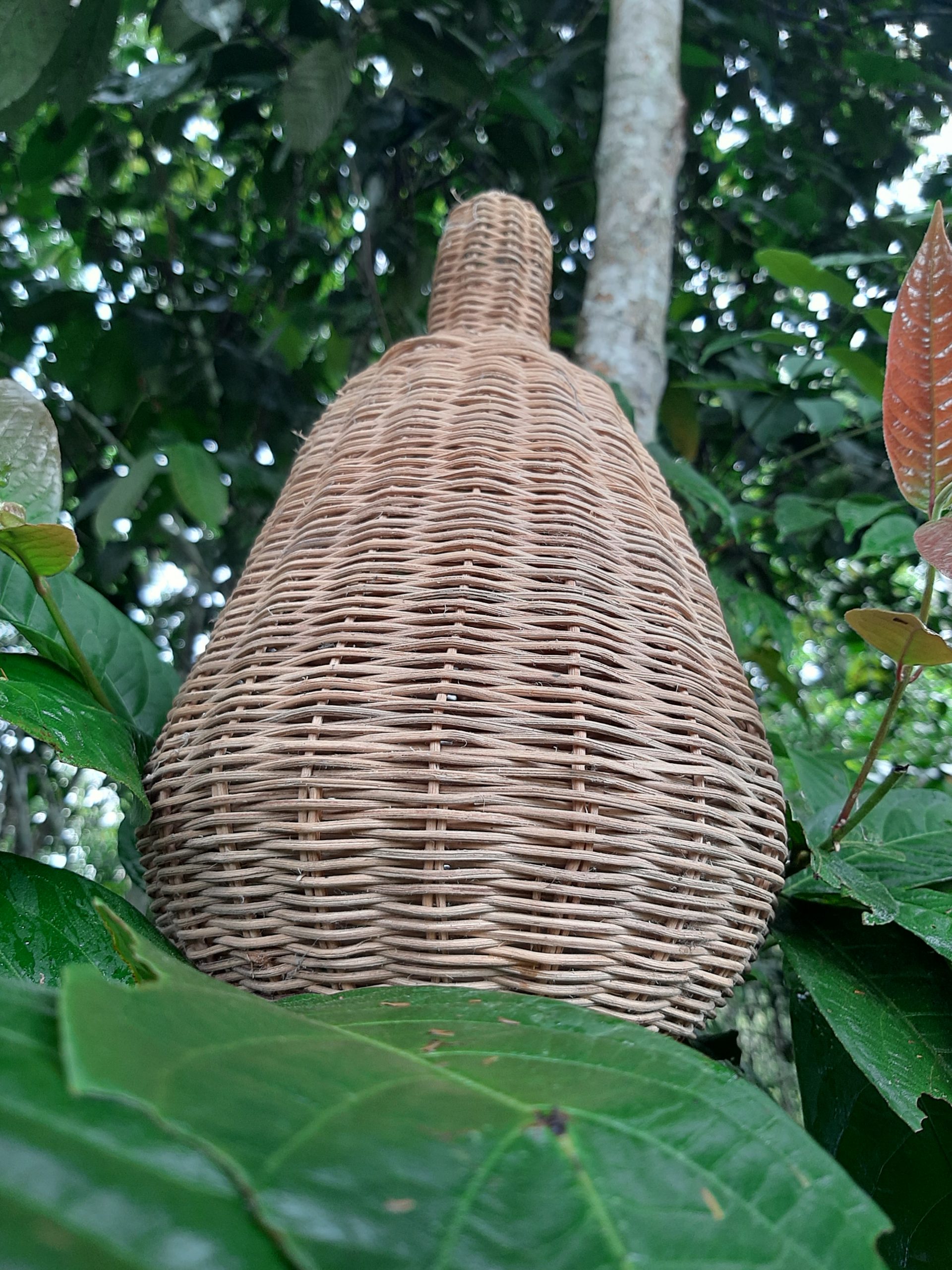 Artesanato Maravilha