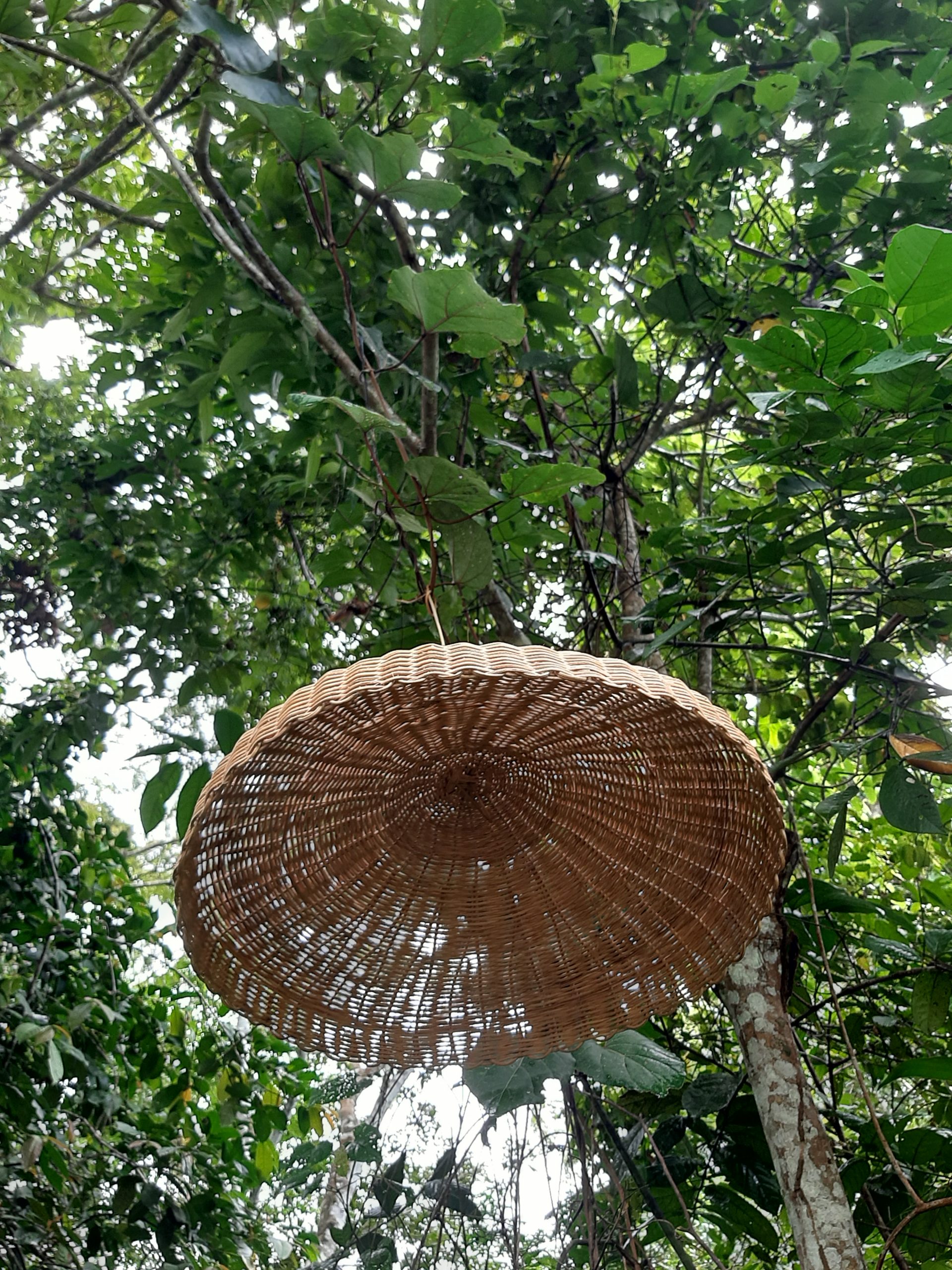 Artesanato Maravilha
