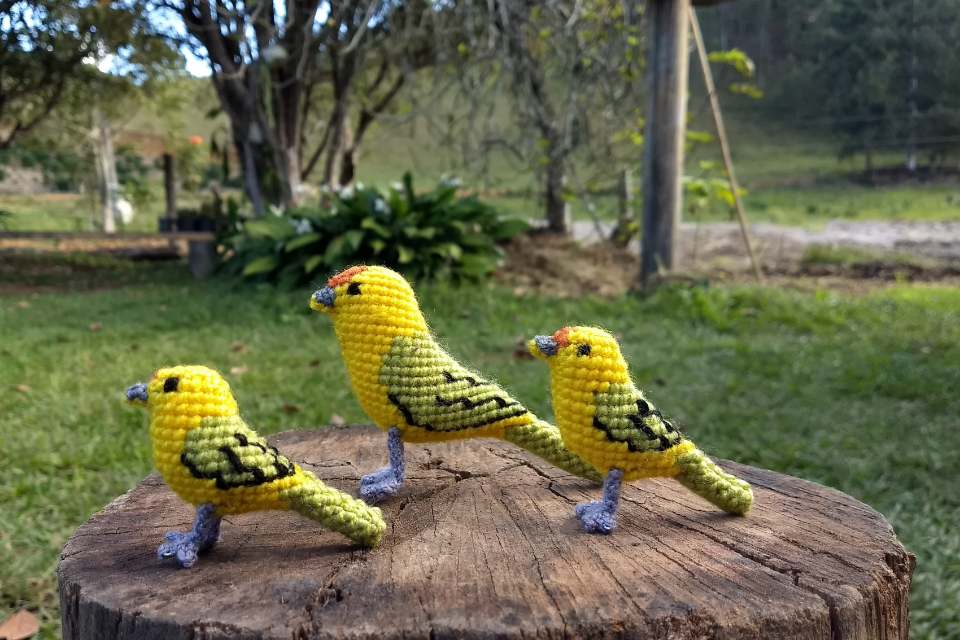 Artesanato Pássaros Caparaó