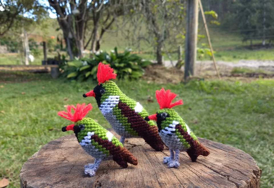 Artesanato Pássaros Caparaó