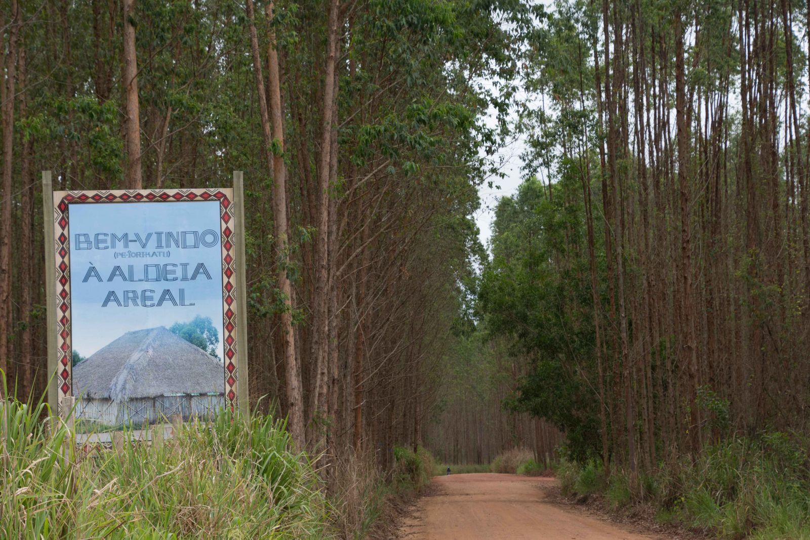 Artesanato Tupyguá