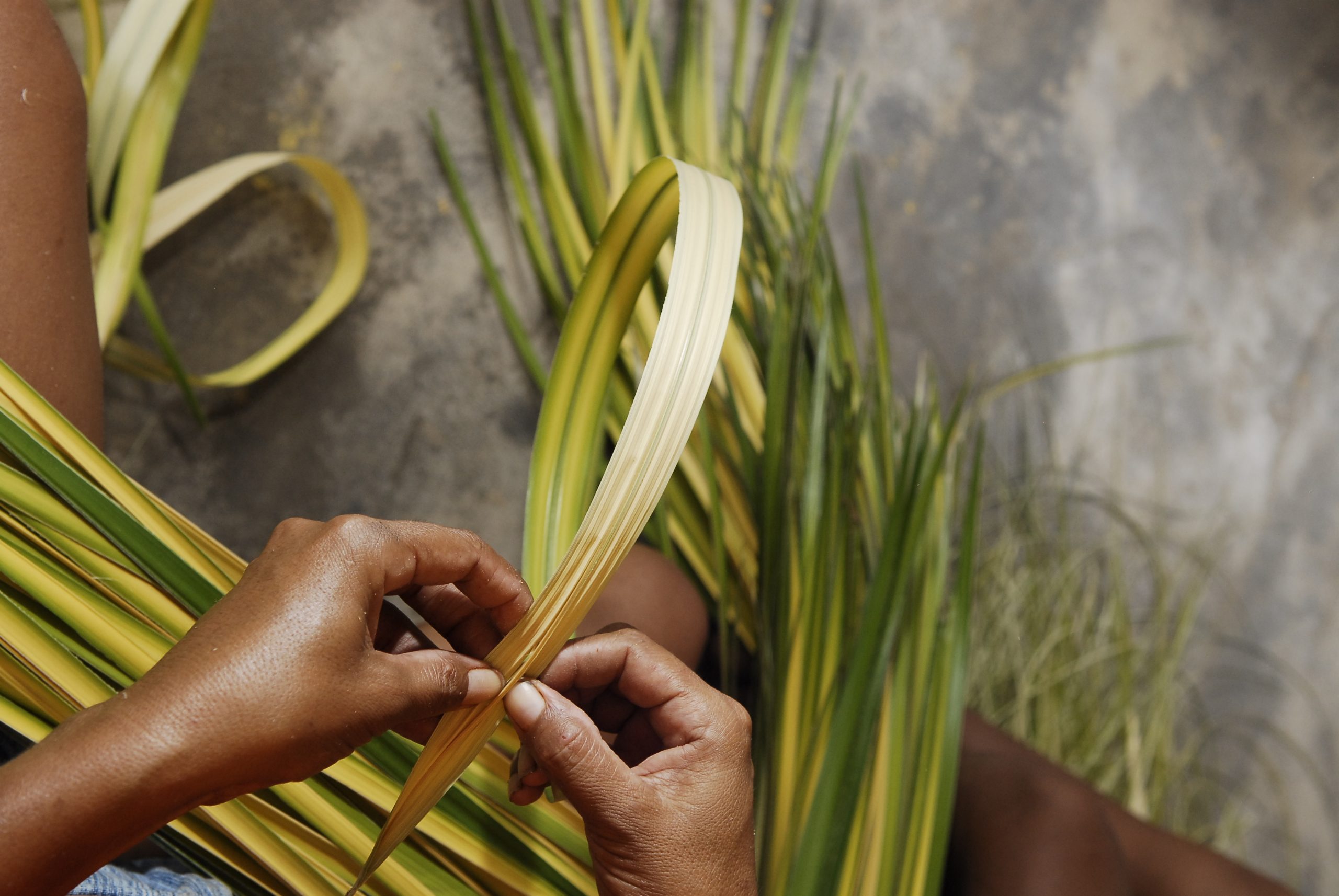 ASDEREN – Associação para o Desenvolvimento de Renda de Divina Pastora
