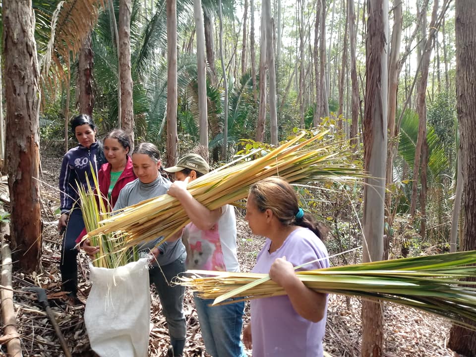 Associação Cultural Indaiá