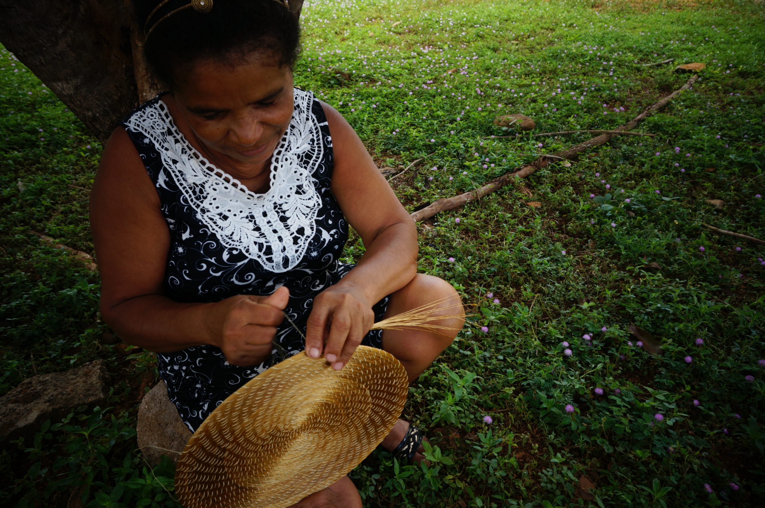 Associação Comunitária de Desenvolvimento de Lagoa do Tocantins