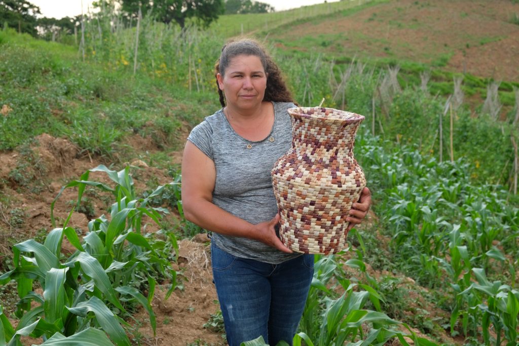 Associação de Mulheres Artesãs de Guapiara Arte e Vida