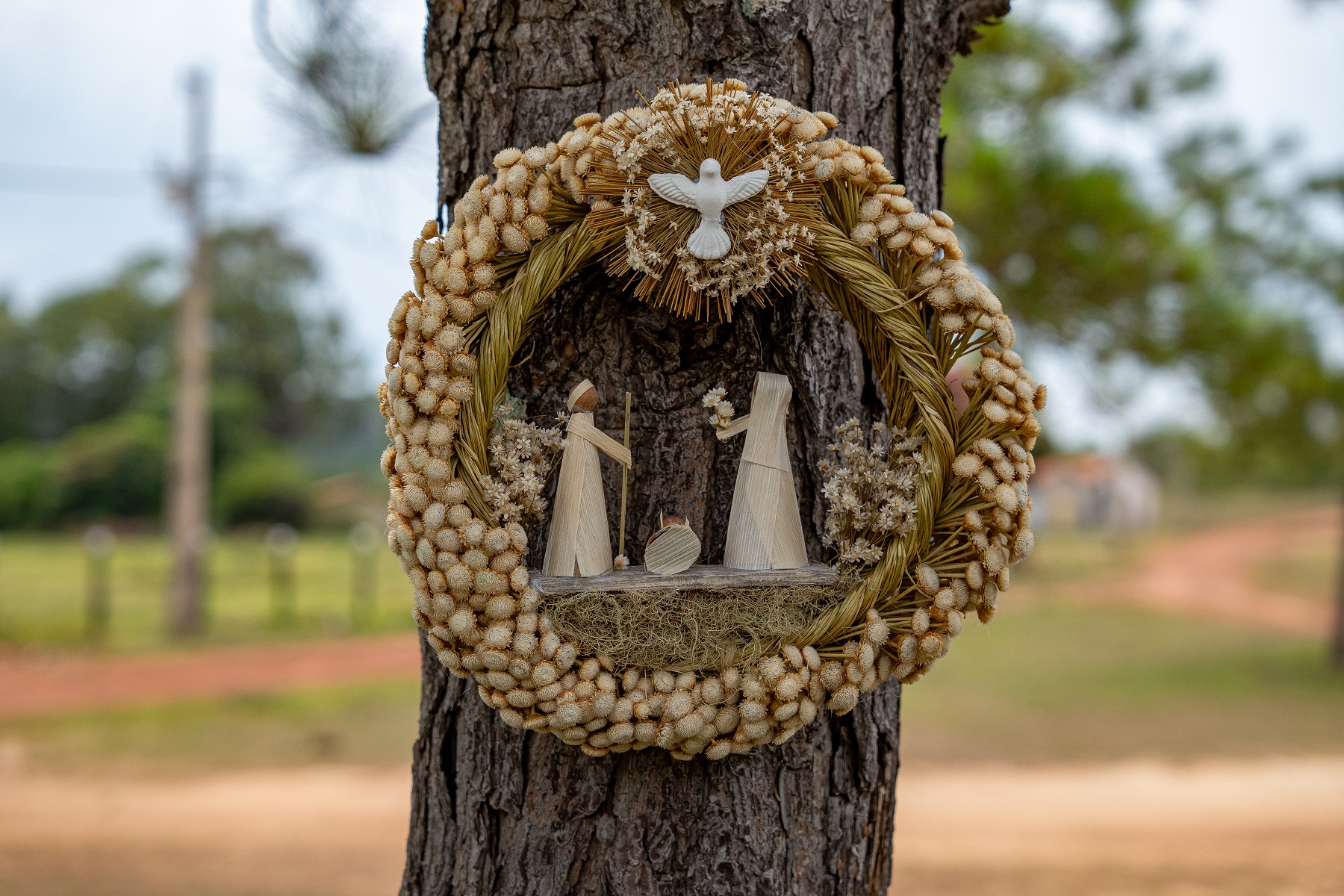 AASV – Associação de Artesãos Sempre-Vivas