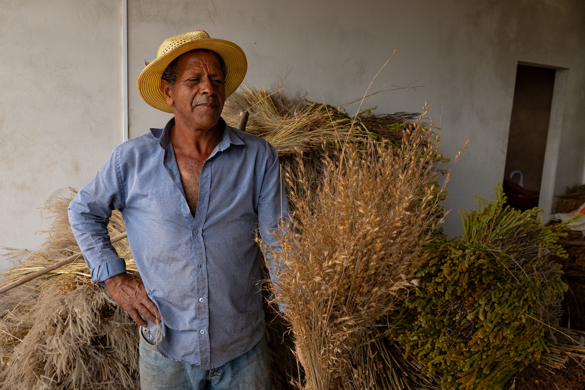 AASV – Associação de Artesãos Sempre-Vivas