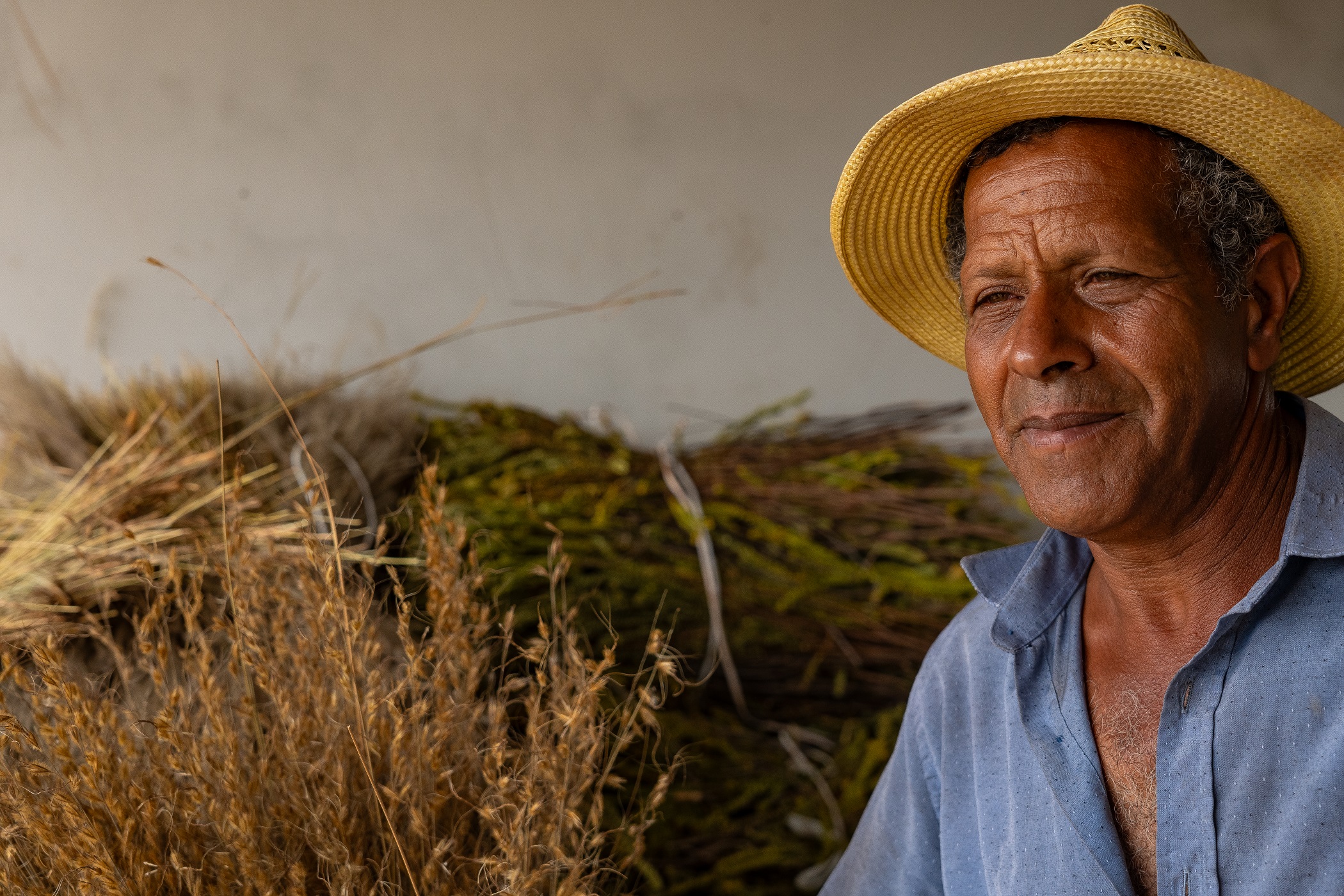 AASV – Associação de Artesãos Sempre-Vivas