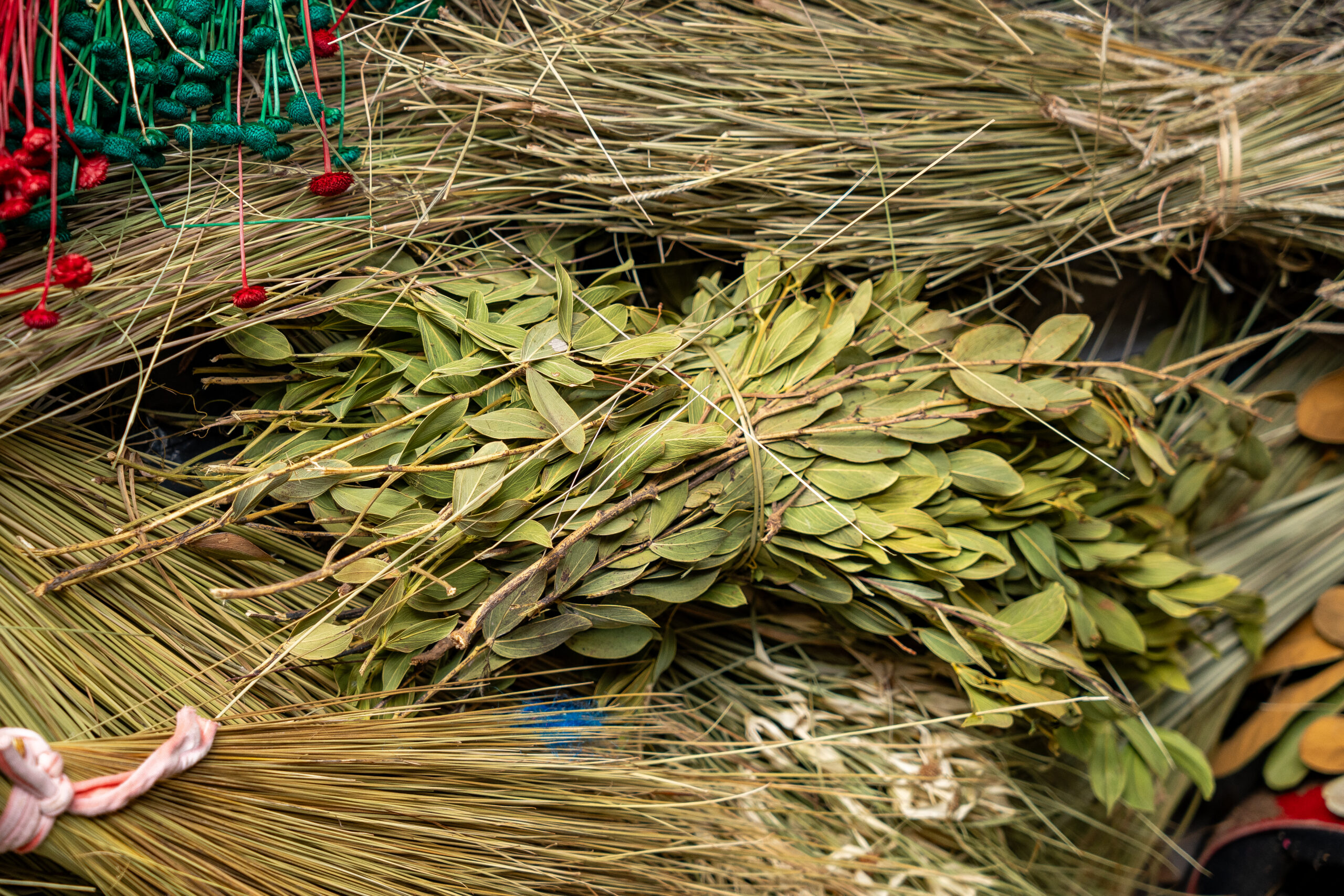 AASV – Associação de Artesãos Sempre-Vivas